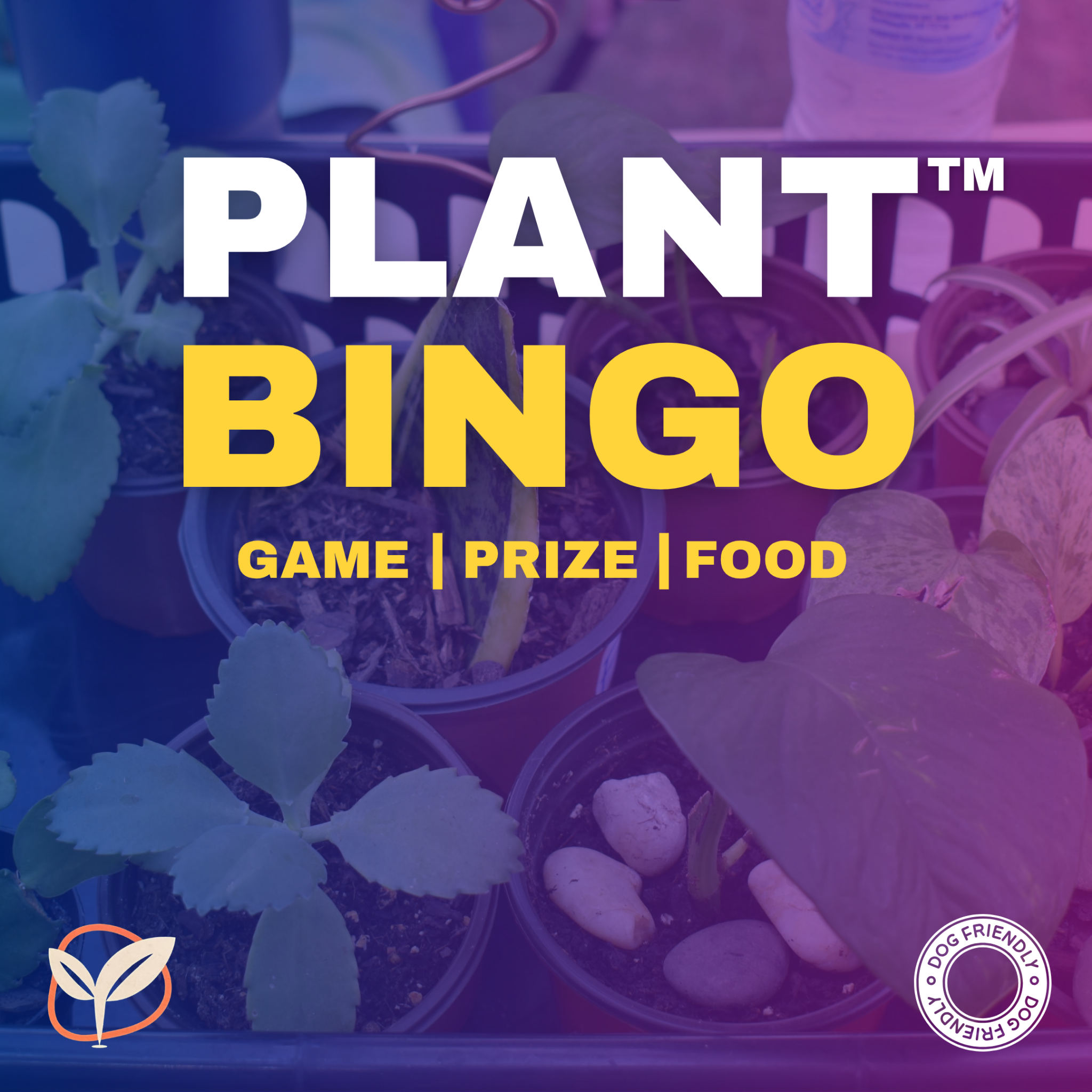 Plant Bingo